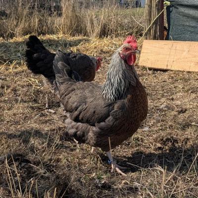 Pxl 20250309 115542403 A Web