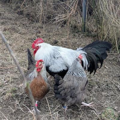 Pxl 20250312 113229579 A Web