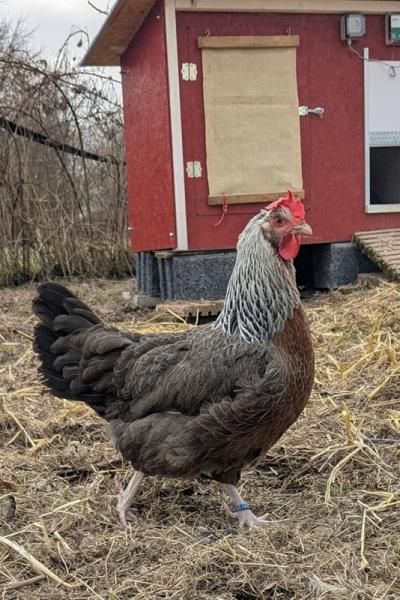 Pxl 20250312 113455378 A Web