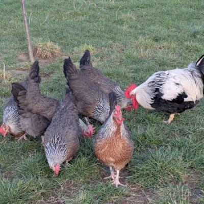 Pxl 20250131 134927839 800