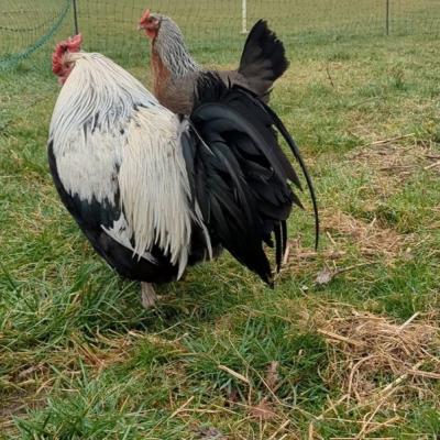 Pxl 20250312 064140636 A Web