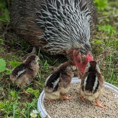 Pxl 20240604 101226755.portrait1 Web