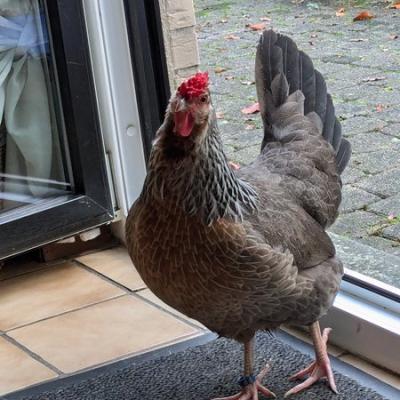 Pxl 20241102 072539552 Web