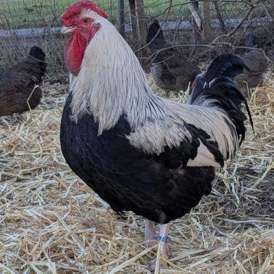 Pxl 20250131 142517989 800 Web