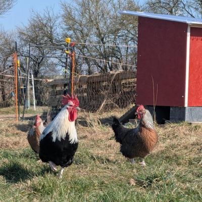 Pxl 20250309 11321698 A Web