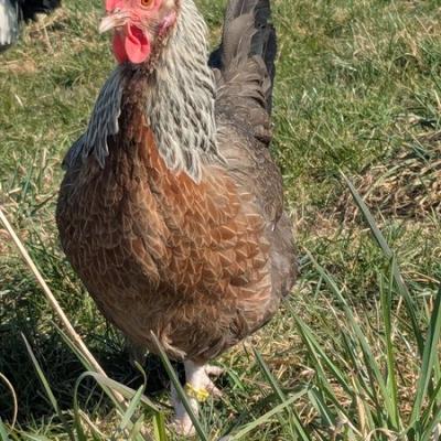 Pxl 20250309 113249865 Web