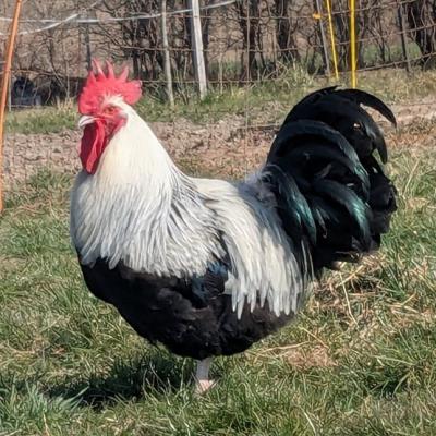 Pxl 20250309 113253032 A Web